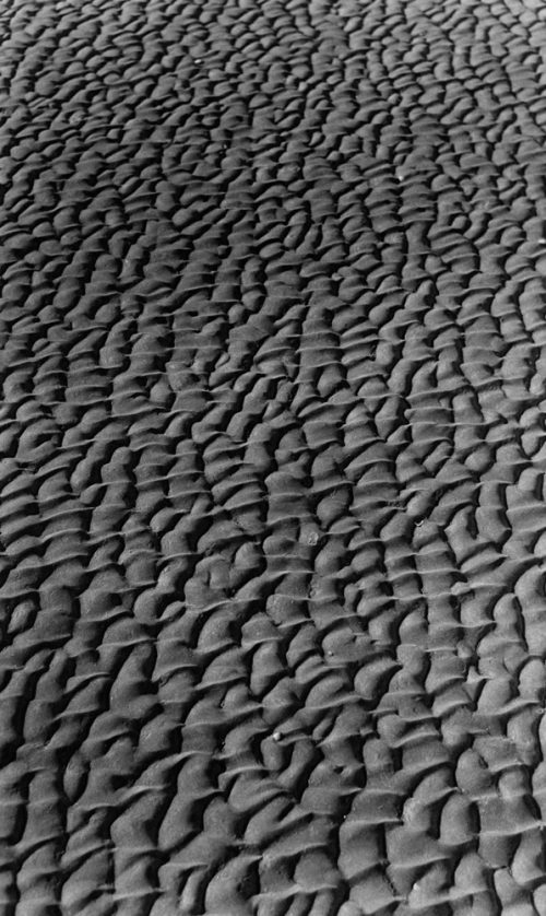 Alfred Ehrhardt, Strukturen im Sandboden, Watt, 1933-36, © Alfred Ehrhardt Stiftung
